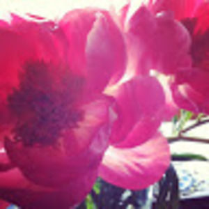 Meet your Posher, Marisa